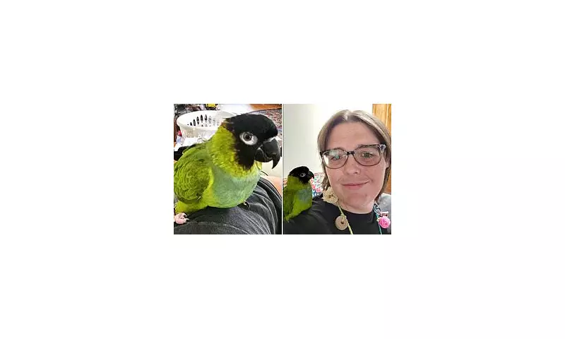 Lost Parrot Sparks Massive Community Search in St Paul's Cray | Touching Reunion