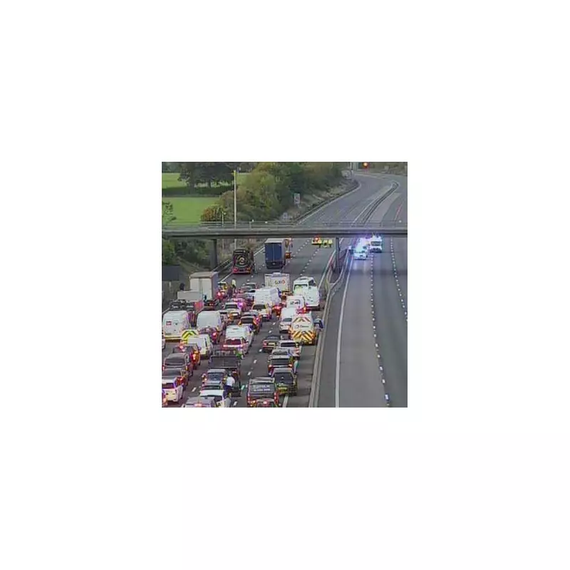 M23 Motorway Chaos: Major Incident Sparks 90-Minute Delays and 7-Mile Queues