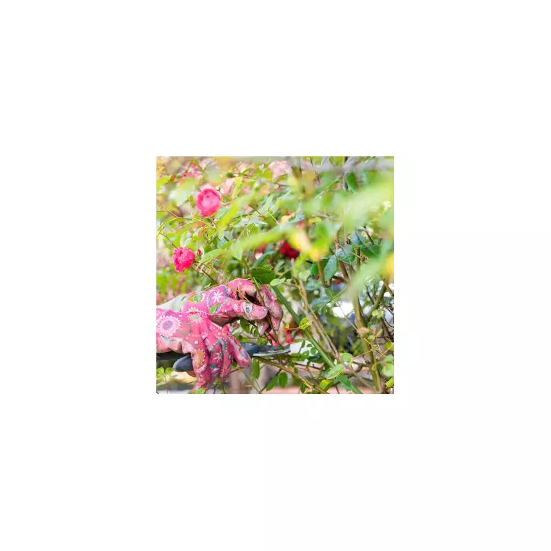 Monty Don's 3 Must-Have Plants for a Stunning July Garden | Gardening Tips