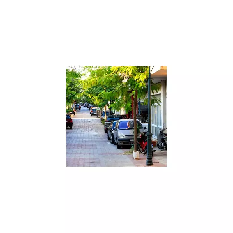Motorists Alert: The Hidden Dangers of Parking Under Trees Revealed