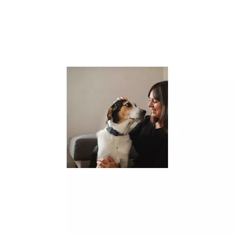 Mum's Genius Ring Camera Hack to Monitor Dog's Day Goes Viral | UK Home Tech
