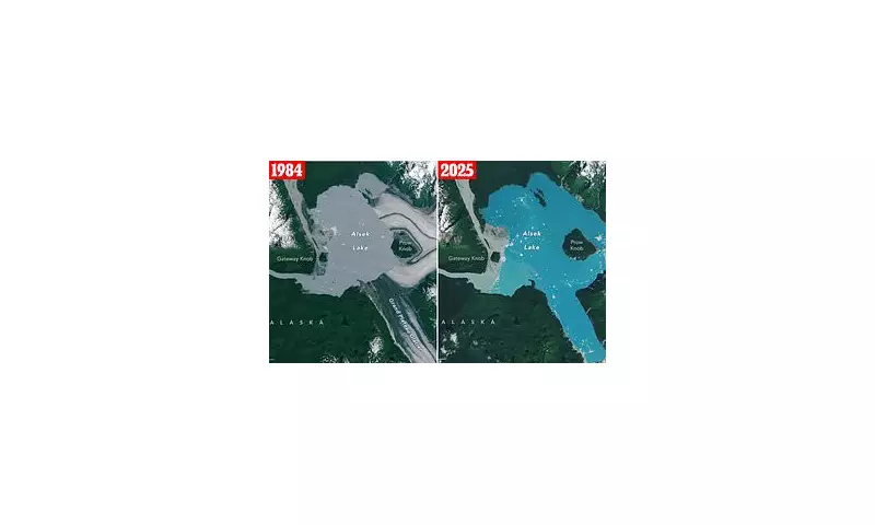 Nature's Marvel: New Island Emerges from the Sea Near Japan After Powerful Volcanic Eruption