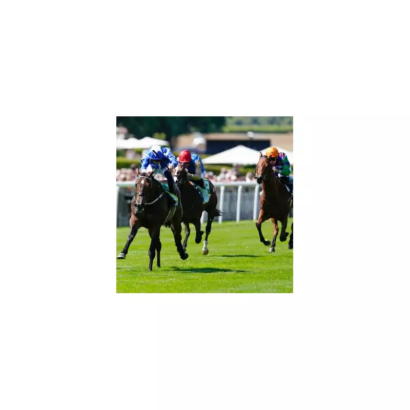 Newbury Racecourse Gold Rush: The Newsboy's Unmissable ITV Racing Tips for Saturday's Blockbuster Card