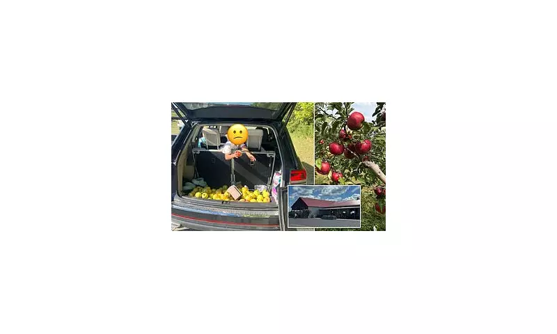 Ohio Orchard's Viral Video of Apple Theft Sparks Internet Outrage and Support
