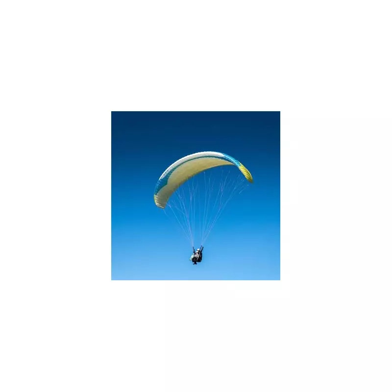 Paraglider's Heart-Stopping Mid-Air Ordeal: Terrifying 300ft Plunge After Shark Sighting