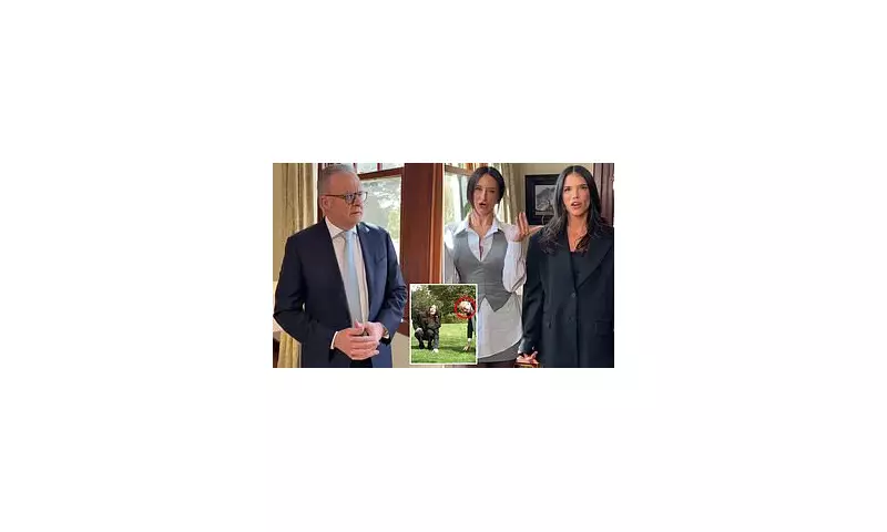 PM Albanese's 'Happy Hour' Interview: A Candid Chat with Lucy & Nikki Sparks Debate