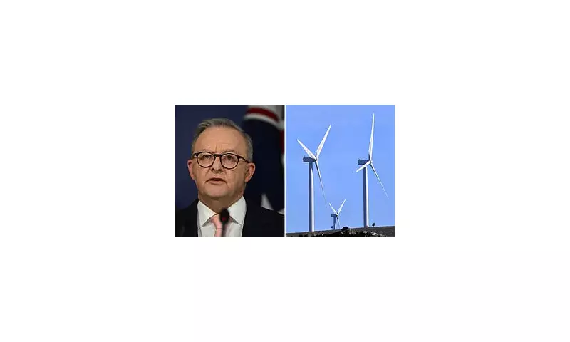 PM Albanese's Net Zero Plan Exposed: Experts Accuse PM of 'Bald-Faced Lie' Over Cost Claims | Daily Mail