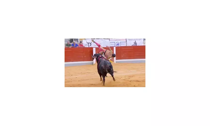 Portuguese Matador Gored in Harrowing Bullring Horror: Shocking Footage Emerges