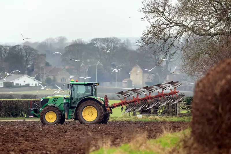 Racism in the UK Countryside: Shocking Survey Reveals Widespread Discrimination in Rural Britain