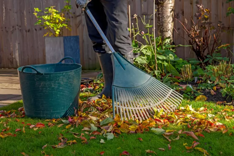 RHS Shakes Up Gardening Rules: Popular Plants Like French Lavender and Hebe Face the Chop