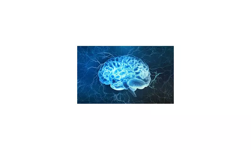 Scientists Reveal: This Simple Daily Hobby Can Boost Brain Function and Extend Your Life