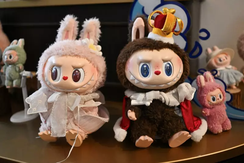 Seattle Customs Seizes Massive Haul of Counterfeit 'Labubu' Designer Toys in Major Anti-Fraud Operation