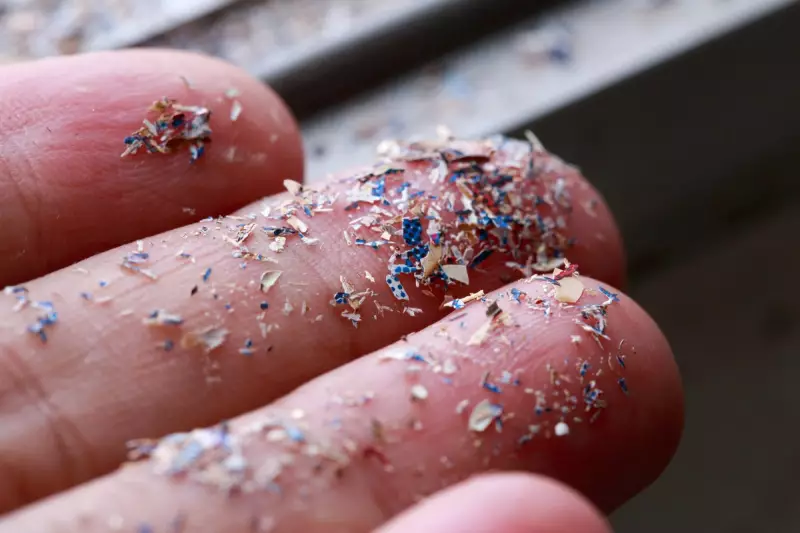 Shock Study: Microplastics Invading Salad Leaves, New Health Alert for UK