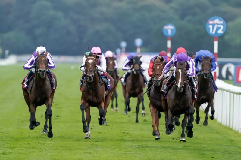 St Leger Stakes 2024: Latest Betting Odds, Top Contenders & Expert Tips for Doncaster's Classic