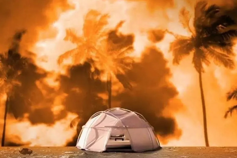 Taika Waititi to Direct Fyre Festival Musical with Rita Ora | Independent