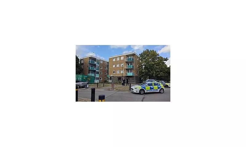 Teenager, 19, Arrested for Murder After Woman Plunges to Her Death from London Tower Block