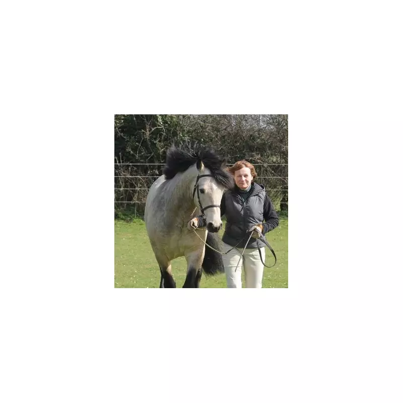 Tragic End for Champion Rider, 80, After Horse Show Fall in Buckinghamshire
