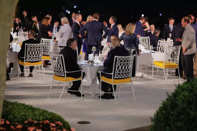 Trump's Lavish White House Rose Garden Makeover Under Scrutiny | Taxpayer Cost Revealed