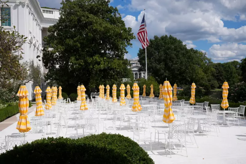 Trump's White House Return: Tech Titans Elon Musk, Bill Gates, and Sundar Pichai on His Agenda