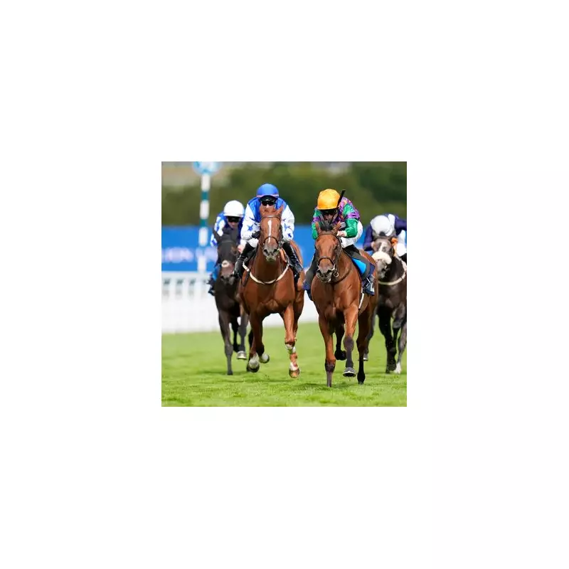 Tuesday's Top Racing Tips: Newsboy's NAP & NB Picks for Today's UK Meetings