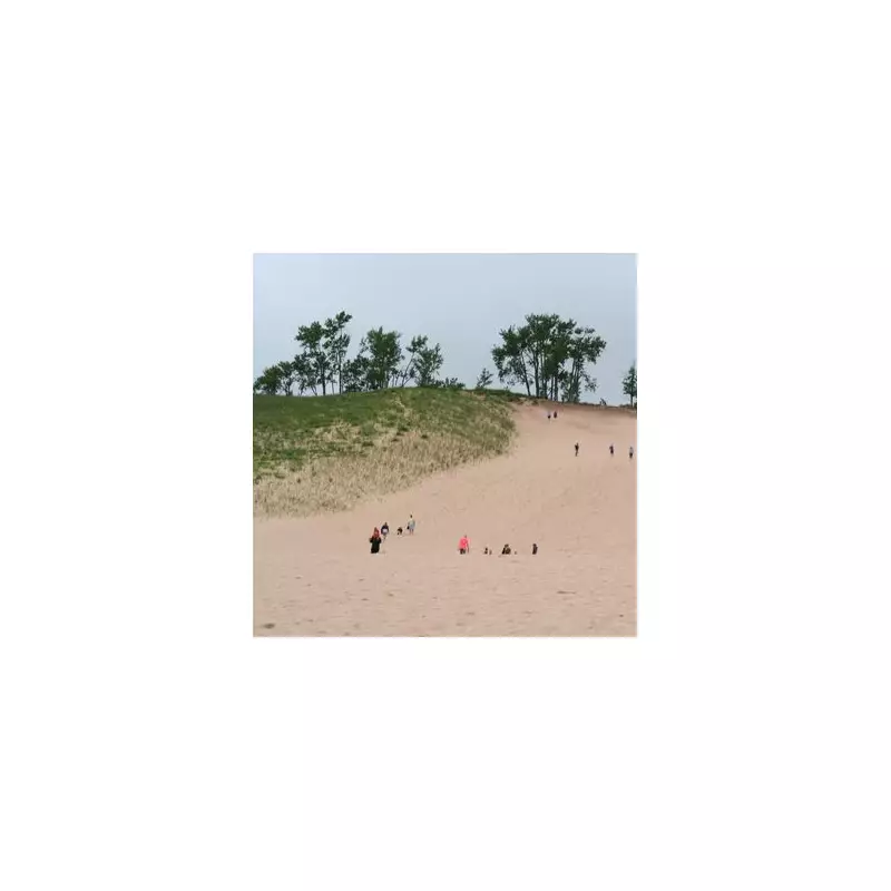 US Holiday Warning: Tourists Risk £1,200 Fines at Great Sand Dunes National Park