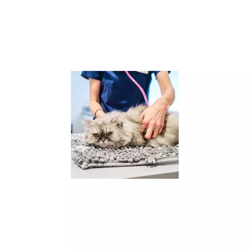Vet Nurse's Urgent Warning: This One Common Pet Mistake Could Be Fatal