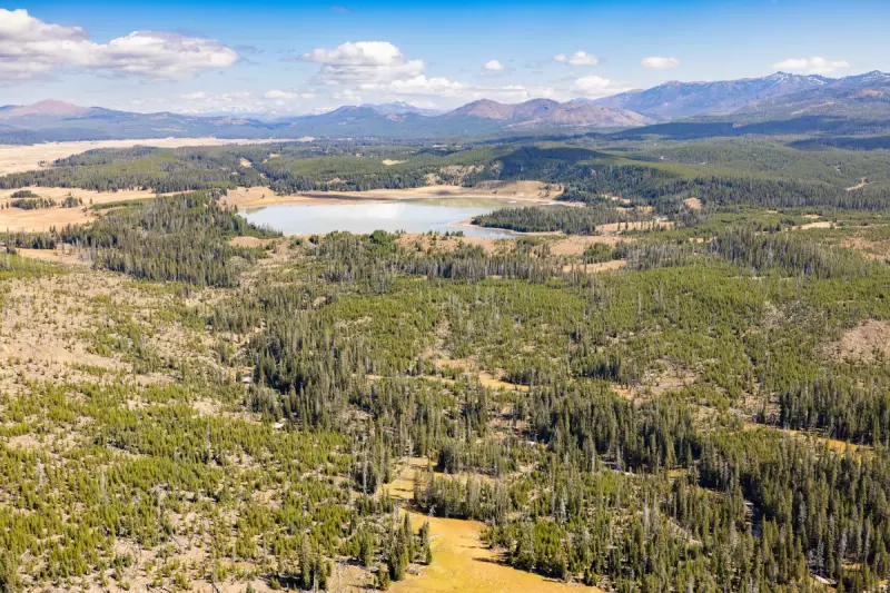 Yellowstone National Park Reopens After Brief Closure Due to Wildfire Risk | Exclusive
