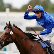 Aidan O'Brien's Delacroix Stuns at Leopardstown: Ombudsman Lands Thrilling Derby Trial