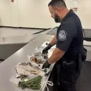 Airport Horror: US Border Patrol Discovers Migrant Stuffed Inside Suitcase in Shocking Human Trafficking Case