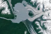 Alaska's Alsek Glacier Unleashes Catastrophic Flood, Wiping Out Entire Island | Climate Crisis Warning