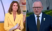 Albanese Clashes With Sunrise Hosts Over 'Absolute Nonsense' Question | Heated Interview