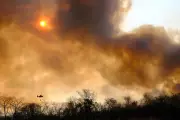 Amazon in Peril: How Rampant Deforestation Fuels Deadly Wildfires and Pandemics