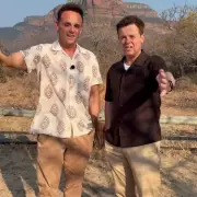 Ant McPartlin's 'Telling Sign' He's Been 'Struggling' Before Baby News, According to Body Language Expert