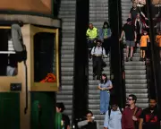 Australian Workers Secure Largest Share of National Income in Decades as Wages Surge