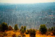 Australia's 2035 Climate Gamble: Will Labour's Emissions Target Save the Planet or Fall Short?