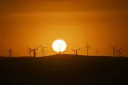 Australia's Climate Ambition Under Fire: Albanese's 'Oprah-Style' Pledges Fall Short on Emissions