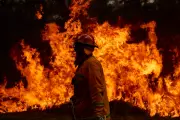 Australia's Climate Crossroads: Government Report Issues Dire Warning as Action Lags