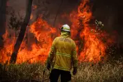 Australia's Climate Wake-Up Call: National Risk Assessment Predicts Soaring Heat Deaths and Economic Ruin