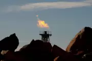 Australia's Environmental Laws in Crisis as Woodside Gas Project Gets Green Light Despite Protests