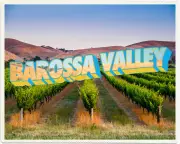 Beyond the Vines: Your Ultimate Guide to the Barossa Valley's Hidden Gems