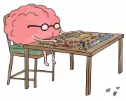 Brain Boost or Myth? The Truth About Puzzles and Dementia Prevention Revealed
