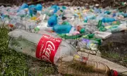Britain's Litter Shame: The Shocking Everyday Items Cluttering Our Streets