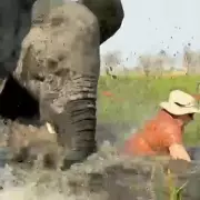 British Tourists Cheat Death as Balcony Plummets Six Floors in Tenerife Hotel Horror