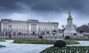 Buckingham Palace Announces First-Ever Christmas Market With FREE Entry - Royal Festive Treat for Visitors