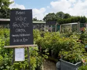 Burford Garden Centre: Inside the Cotswolds' Most Unlikely Celebrity Hotspot