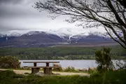 Cairngorm Mountain's Toboggan Run Forced to Close After Just Two Days Due to Technical Woes