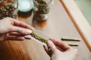 California Cannabis Bribery Scandal: City Officials Accused of Demanding Cash for Licences