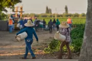 California's Great Betrayal: Trump's Broken Promise to Deliver 'Gigantic' Water Project Leaves Central Valley Fuming