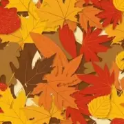 Can YOU Spot The Hidden Hunter? Mind-Bending Camouflage Photo Stumps The Internet