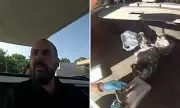 Caught Red-Handed: Astonishing Moment Police Discover £50k of Cocaine in Stolen Car | Daily Mail